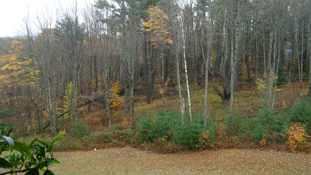 Porcupine Trail