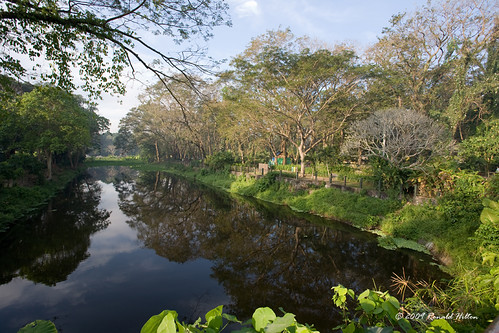 city garden philippines manila filipino pinoy fairview forestpark quezon pilipinas lamesaecopark