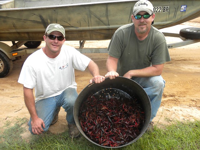 Two guys with a bunch of crawfish.