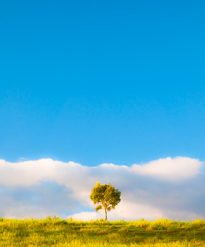 A day dream by blupic, This doesn't look much like Kauai, but off to the right was a rainforest, I promise. I've always wa