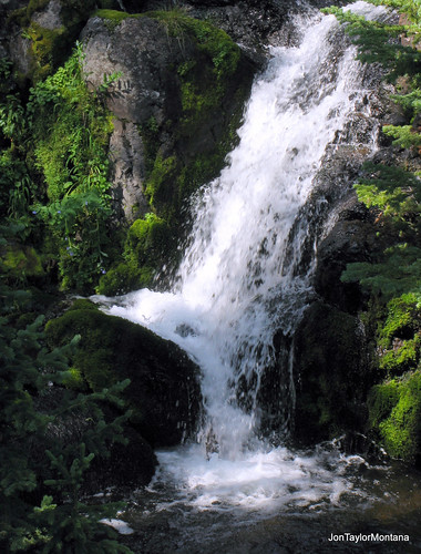 trees pool waterfall moss emeraldlaketrail eastforkhyalite jontaylormontana
