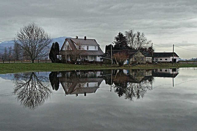 Meier Farm Reflections