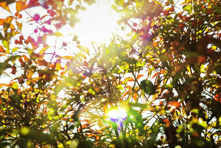 Flickr photo: Winter!