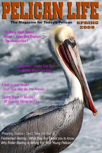 Pelican Life Magazine Spring 2009