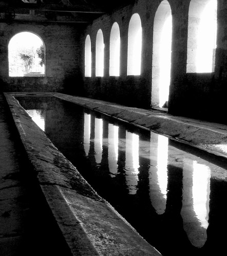 Luz y reflejos | by dra.senaide
