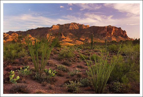 Sonoran Evening | by joelhazelton