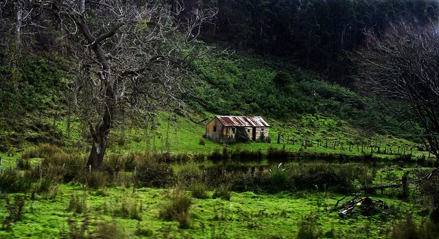 A shack on the way to our block of land in Tasmania