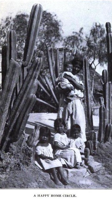 Un alegre círculo familiar. México 1904