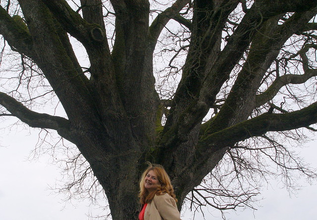 Photo: ...near by the giant tree-friend...