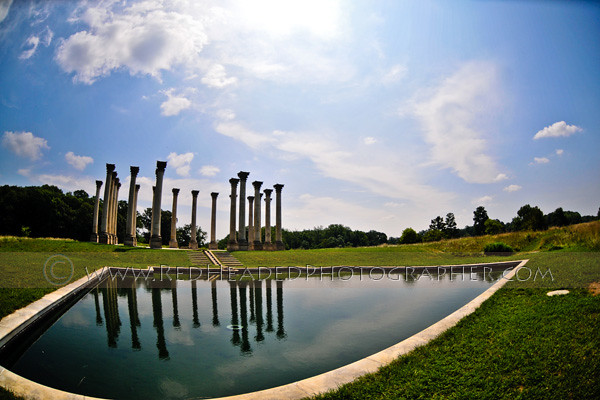 The Original Capitol Pillars at the National Arboretum in Washington DC