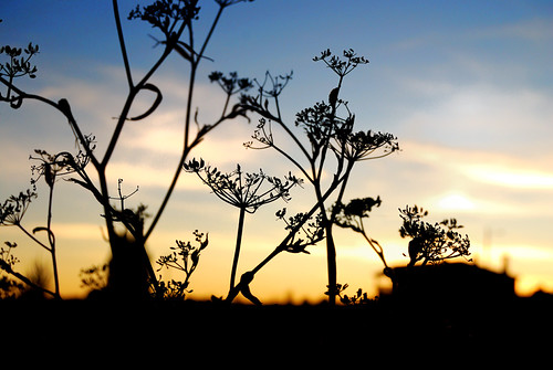 La huertona by fernando garcía redondo, Atardecer en Cedillo de la Torre, Segoviasunset sky nature rural atardecer town country ground burn 