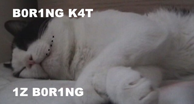 Boring Kat