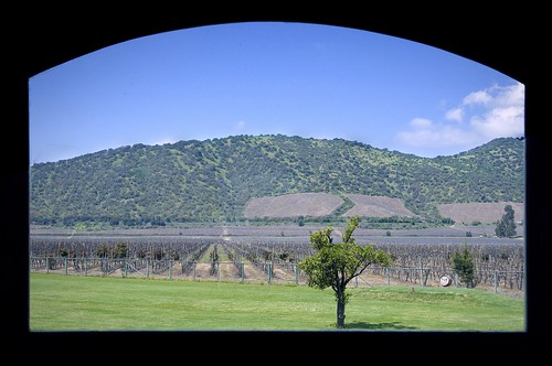 chile winery