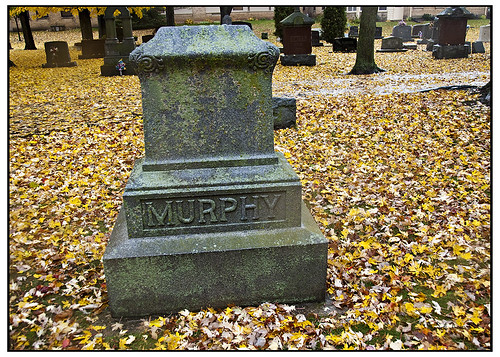 fall cemetery leaves wisconsin freedom headstone stnicholas murphy swanksalot sethanderson