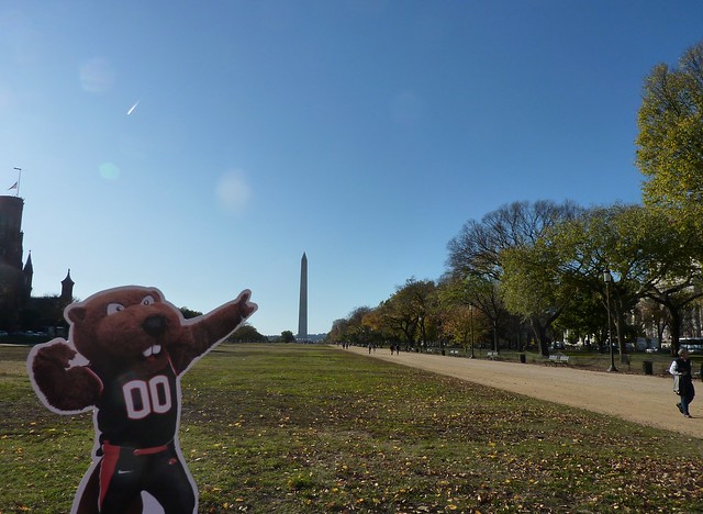 Benny takes on capitol hill