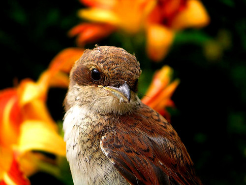 Unconditional beauty | by Unitopia