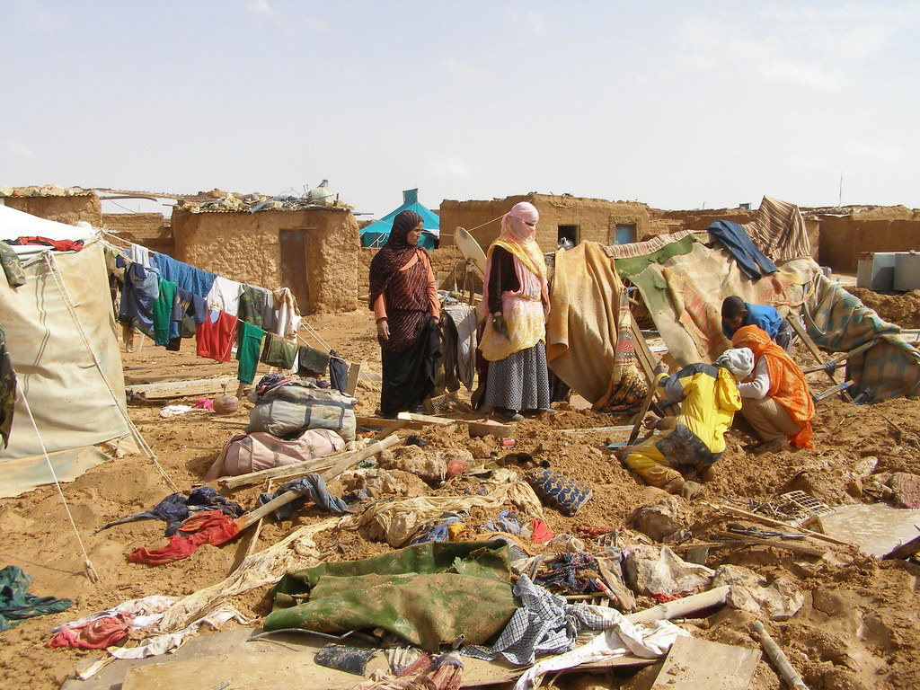 Tindouf Refugees Face Malnutrition and Aid Shortfall