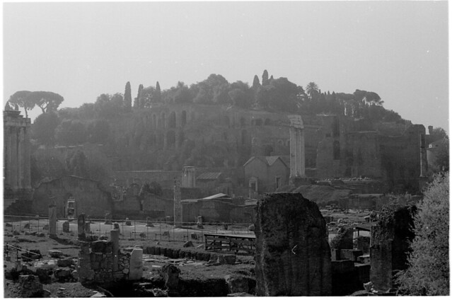 Roman Forum with View of the Palentine Hill