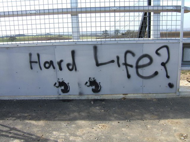 Hard Life?