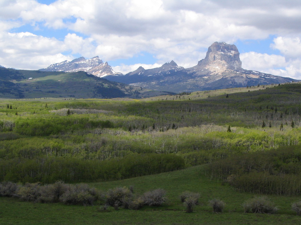 Montana's