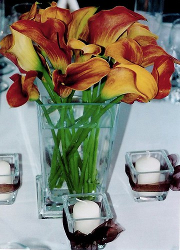Calla Lilies | by Details of the Day