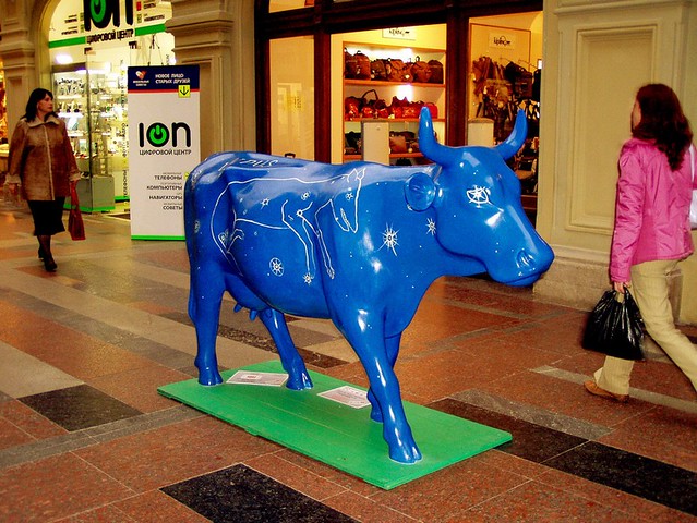 The blue cow
