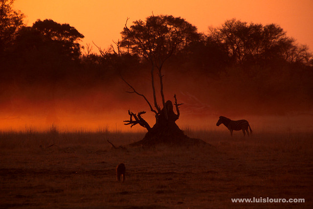 Okavango Delta - Botswana
