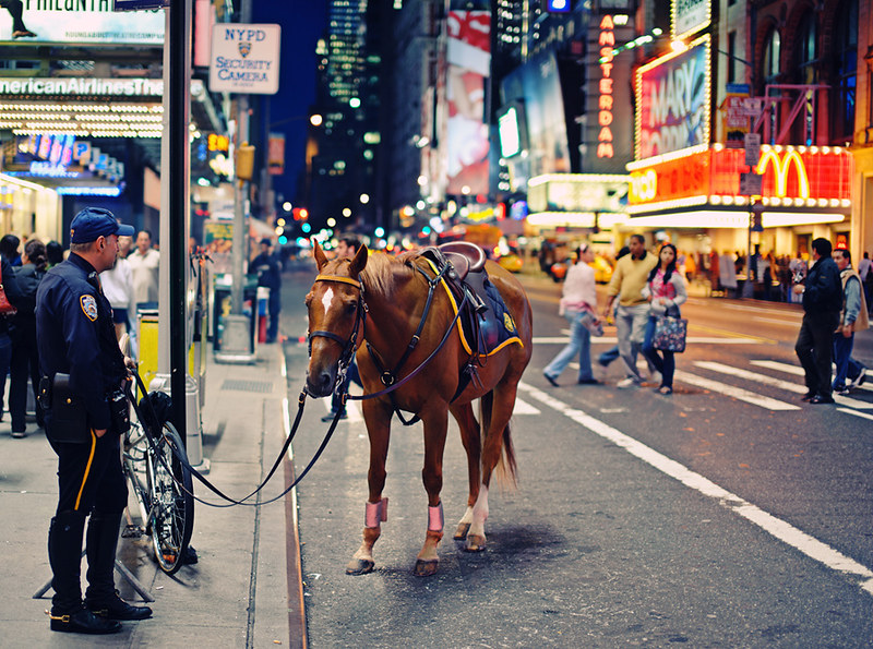 New York City - The Police Horse by Philipp Klinger Photography