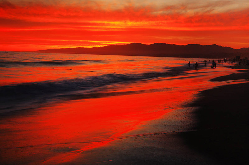 Santa Monica Beach - California - Red Sharks