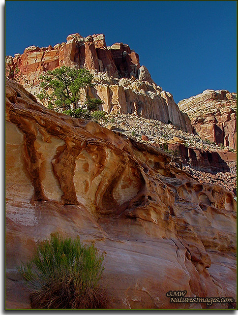 Scenic Drive No 2, Capitol Reef National Park, Utah by JMW Natures Images