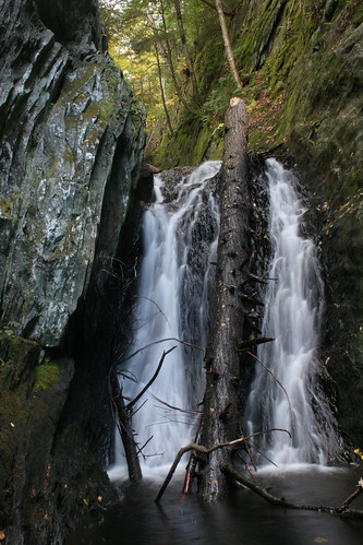 waterfall massachusetts falls cascade savoy mohawktrailstateforest massaudubon over18 chrisbuelow tanneryfalls mohawkstateforest tannerybrook savoyma parkerbrookfalls picturethis2010 dryoptera