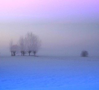 Foggy Winter Landscape at Sunset