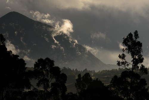 colombia paisaje amanecer nubes andes pinos montañas cundinamarca eucaliptos guasca