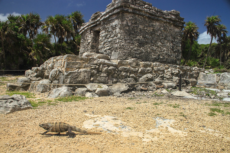 Riviera-Maya-Tulum-8385.jpg