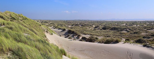 Tracks on the dune ridge leading to the scout on Texel island