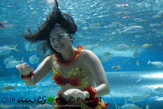 Little Mermaids at Manila Ocean Park-25 | by OURAWESOMEPLANET: PHILS #1 FOOD AND TRAVEL BLOG