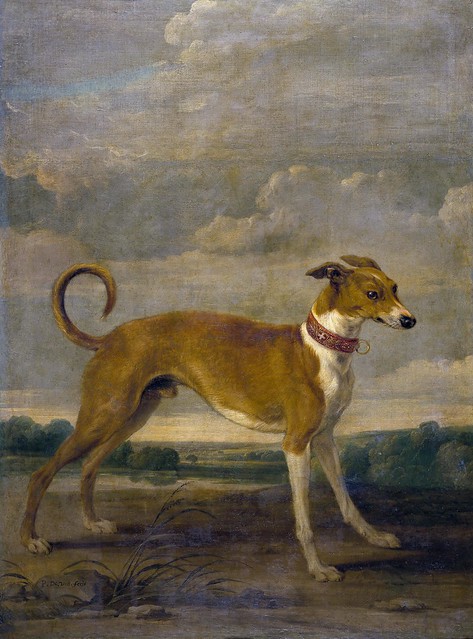 Vos, Paul de 1591/95-1678 - Un perro