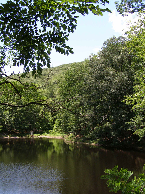 Shrine Mont Set:  A Scenic Pond