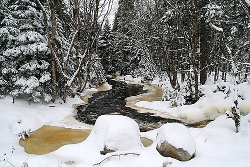 winter snow canada tree nature forest river landscape novascotia canoneosdigitalrebelxt
