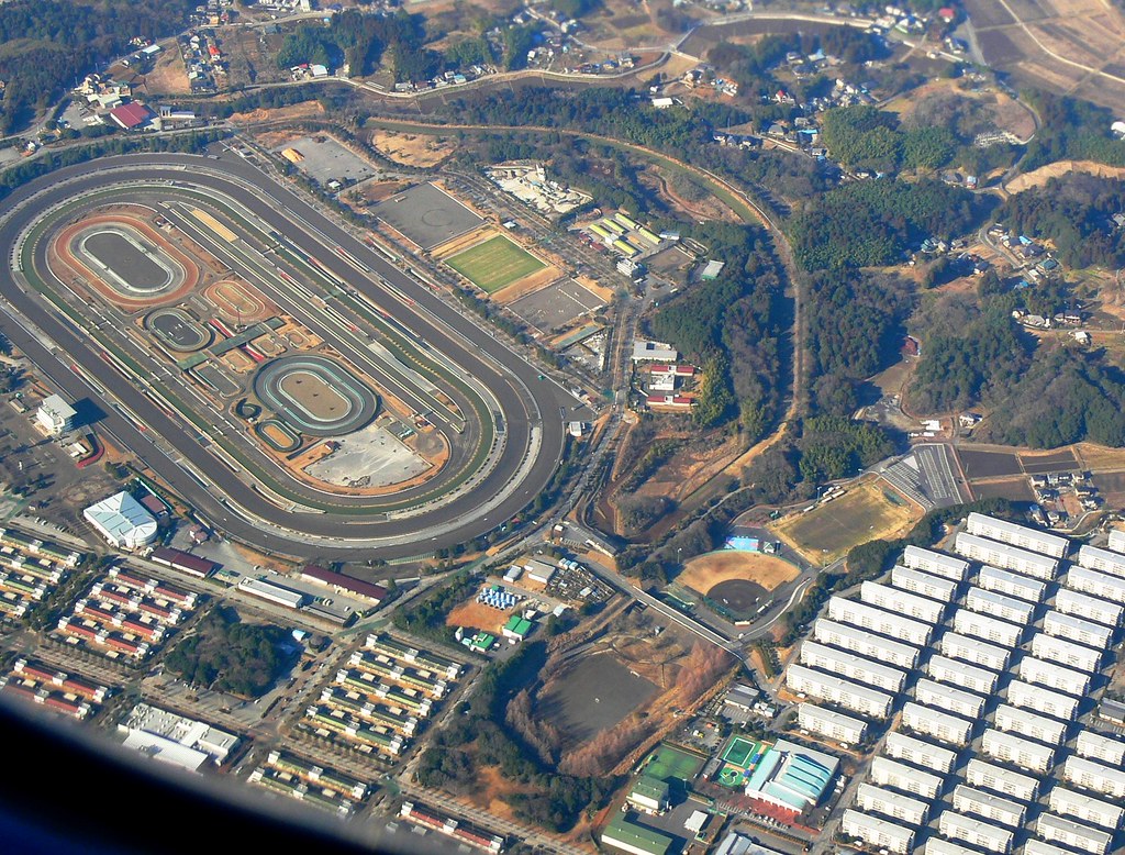 Jra Japanese Racing JRA美浦トレーニングセンター | Japan Racing Association (JRA) horse race … | Flickr