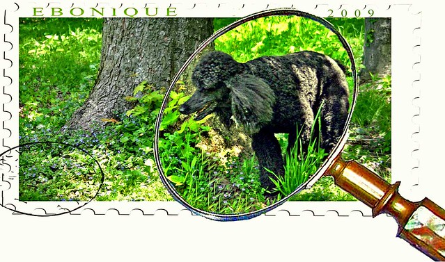 Postage Stamp with Ebbie 2009