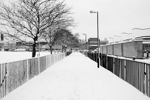 Pathway | by Sean S Thomas