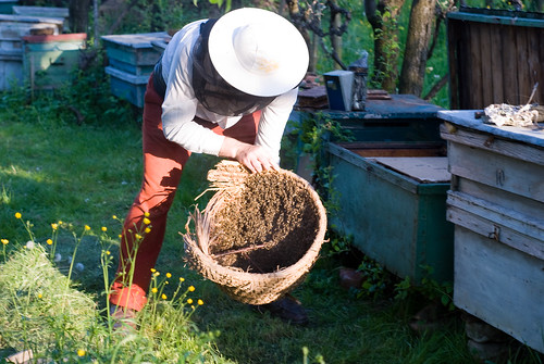 The beekeeper | by premus