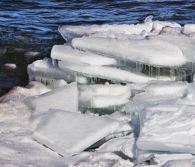 Ice in the Harbor_6412