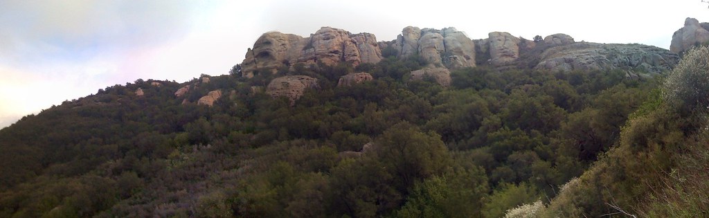 Test Site