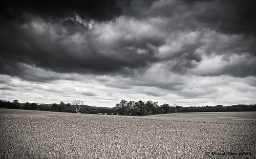 Storm Clouds by David_Rees