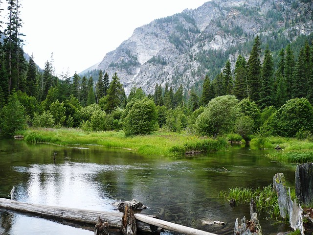Small Pond, Bass Creek in the Bitterroot Mountains, Montana
