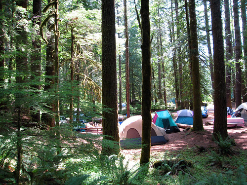 forest tents olympicnationalpark staircasecampground