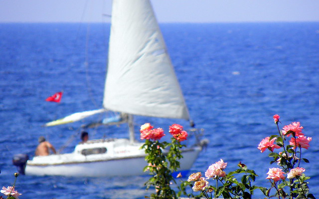 Sailing and Roses