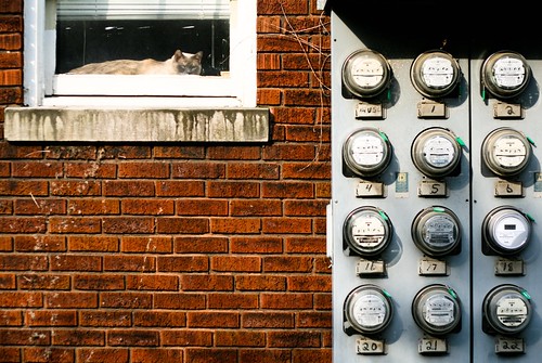 brick electric metal wall cat lexington kentucky kittie wattage voltagereader